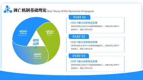 蓝绿色简约风生物学毕业答辩ppt模板