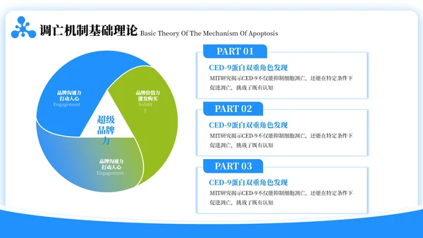 蓝绿色简约风生物学毕业答辩ppt模板