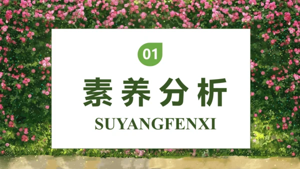 【核心素养】部编版语文三年级下册-13. 花钟 第2课时（课件）