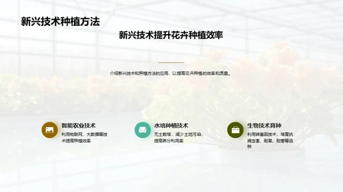 花卉产业：创新与策略