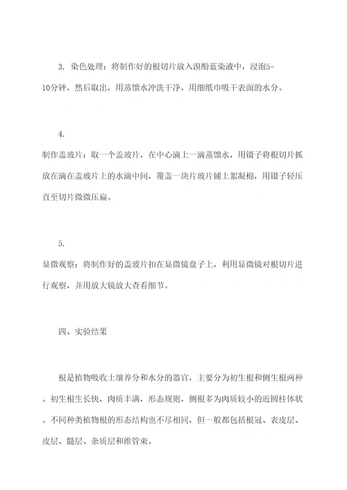 根解剖形态结构实验报告