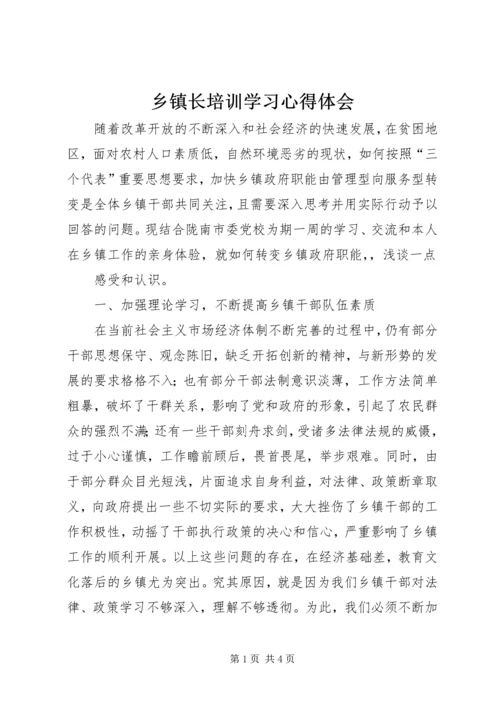 乡镇长培训学习心得体会.docx