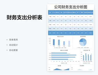 财务支出分析表