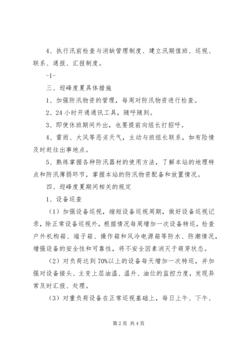 迎峰度夏工作方案.docx