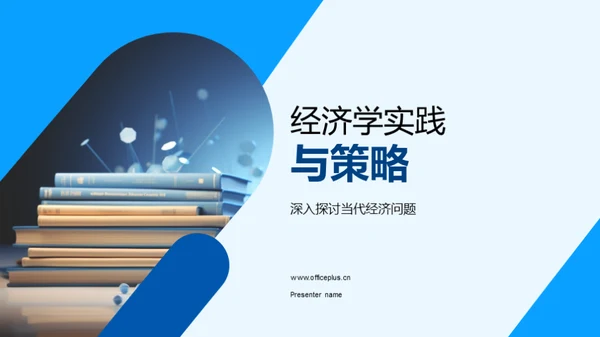 经济学实践与策略