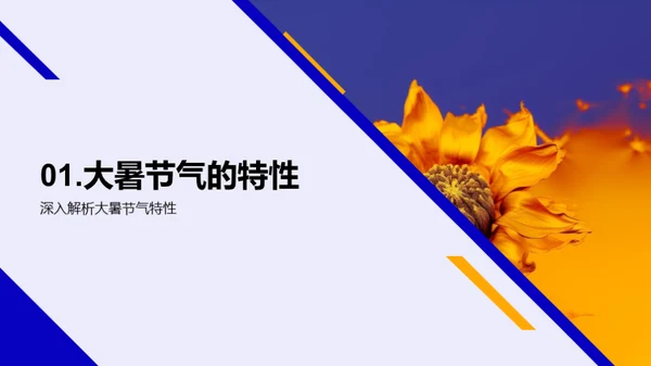 大暑季推广策略