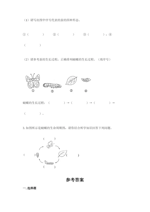 教科版科学三年级下册 期末测试卷及参考答案【培优b卷】.docx