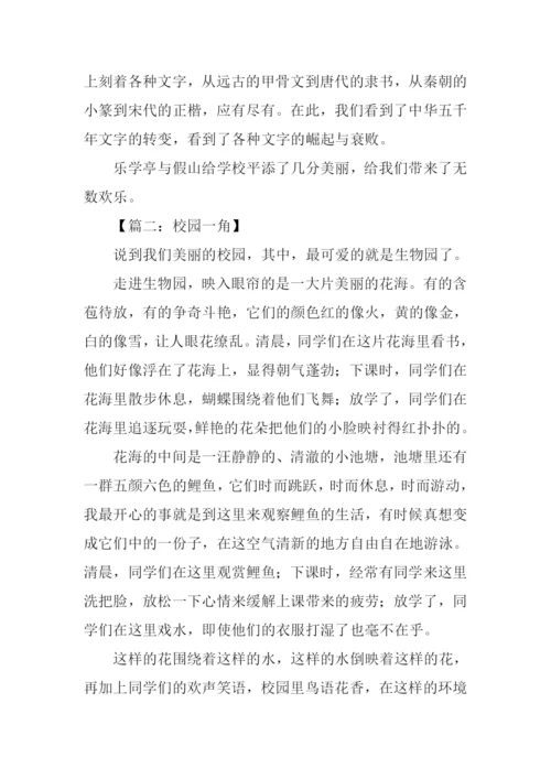 校园一角作文-5.docx