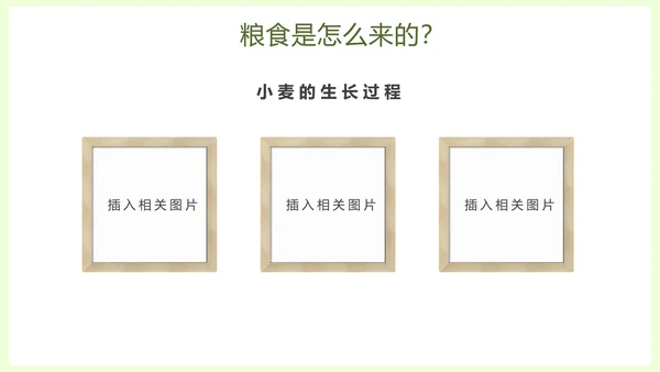 拒绝浪费中小学生节约粮食主题班会PPT模板