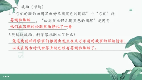 统编版四年级下册期末复习：语文课内阅读专项 练习课件