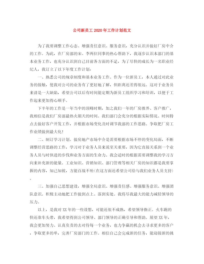 精编之公司新员工年工作计划范文.docx