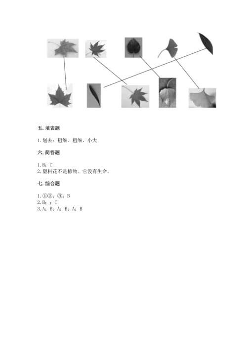 教科版科学一年级上册第一单元《植物》测试卷【各地真题】.docx