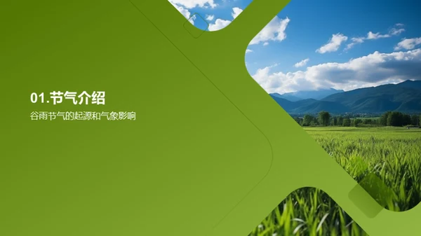 谷雨季节农业指南