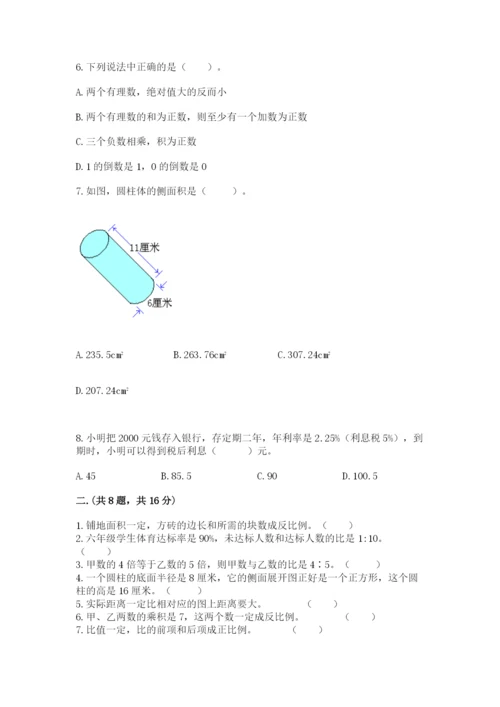 小学六年级下册数学摸底考试题精品【名师系列】.docx