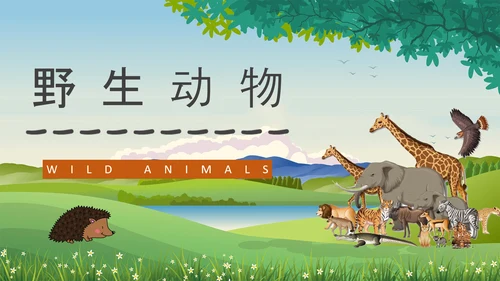 野生动物保护法公益活动宣传森林PPT模板
