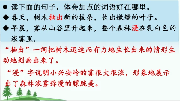 20.美丽的小兴安岭   课件