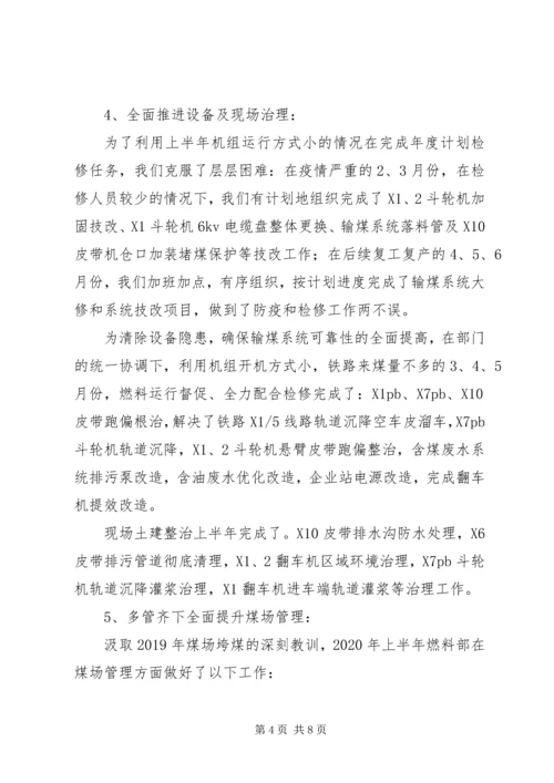 燃料部XX年上半年总结及下半年计划.docx