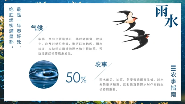 二十四节气PPT模板雨水