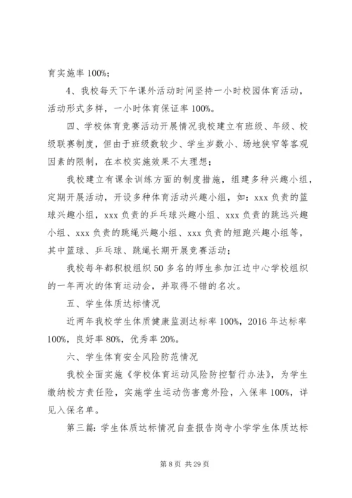 体质达标自查报告.docx