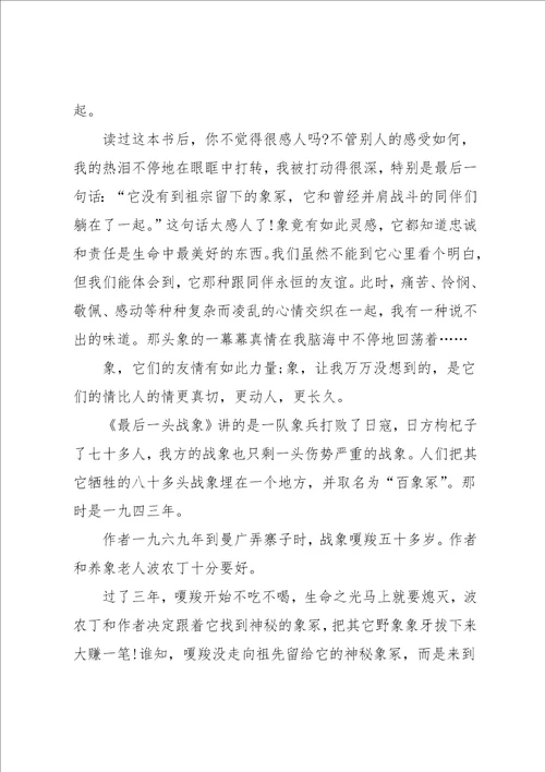 最后一头战象读后感小学作文500字