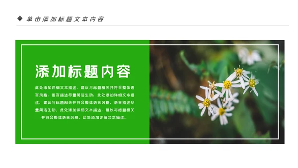 唯美绿色植物发芽植物生长敬畏生命PPT模板