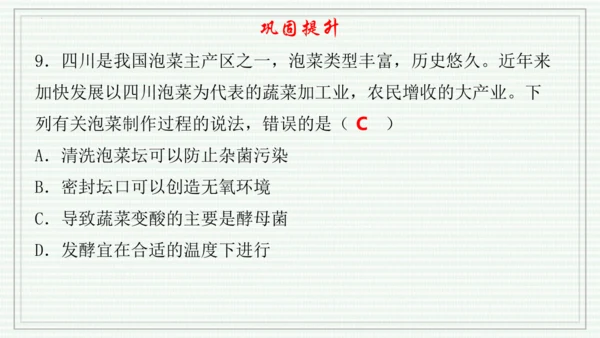 综合实践项目二  利用细菌或真菌制作发酵食品（课件）-【新教材】七年级生物上学期同步课件 （2024