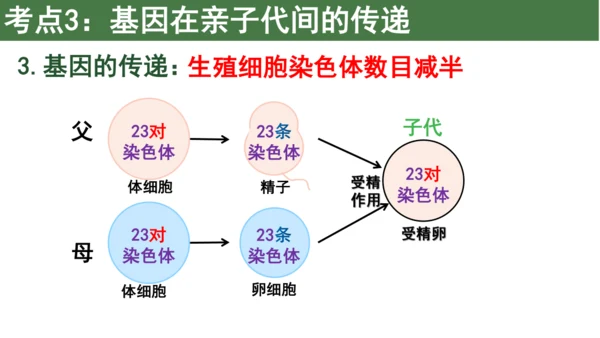 八下 第七单元复习课件(共58张PPT)