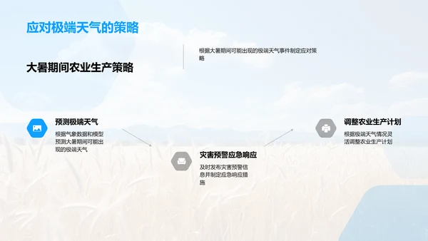 大暑农业生产