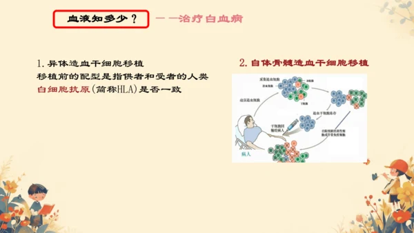 4.4.1流动的组织──血液课件(共27张PPT)人教版七年级下册