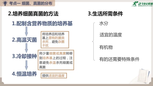人教版生物八年级上册2.3 细菌、真菌和病毒 本章复习课件(共23张PPT)+视频素材