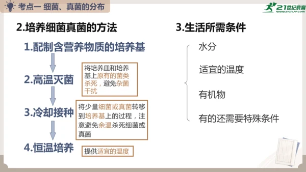 人教版生物八年级上册2.3 细菌、真菌和病毒 本章复习课件(共23张PPT)+视频素材