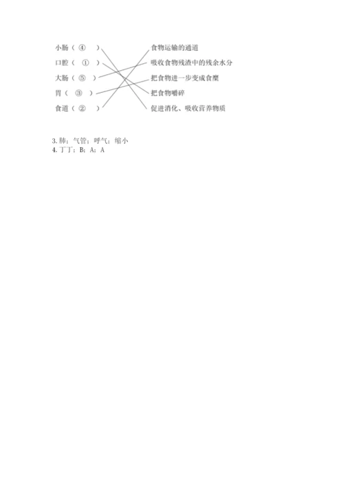 教科版四年级上册科学期末测试卷（实用）word版.docx