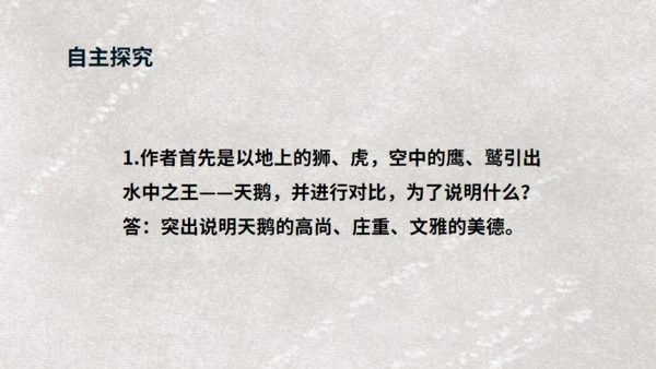 《天鹅》布丰天鹅湖通用PPT课件