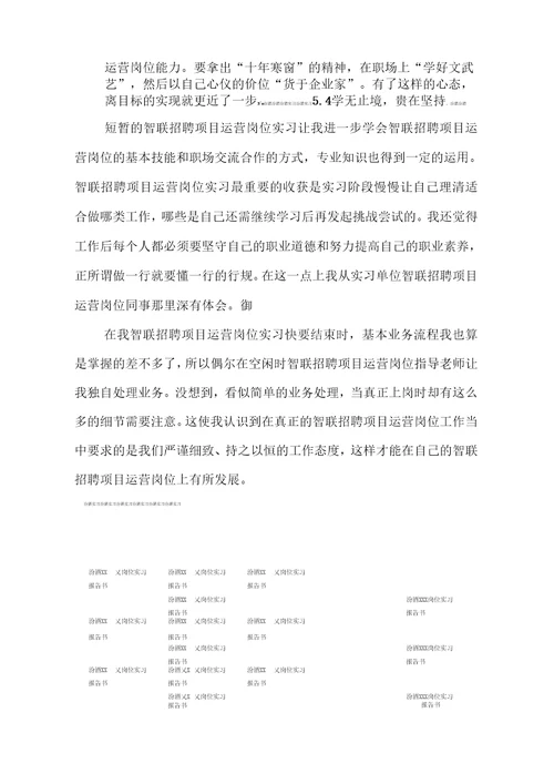 智联招聘项目运营岗位实习报告