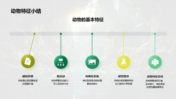 探秘动物世界