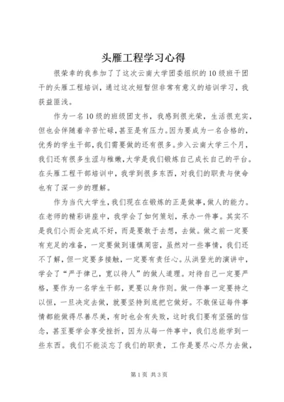 头雁工程学习心得_1.docx