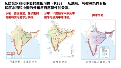 7.3 印度（第2课时）（课件29张）-七年级地理下册（人教版）
