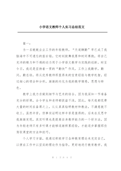 小学语文教师个人实习总结范文.docx