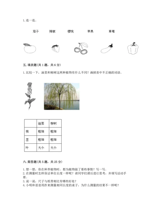 教科版科学一年级上册期末测试卷及答案解析.docx