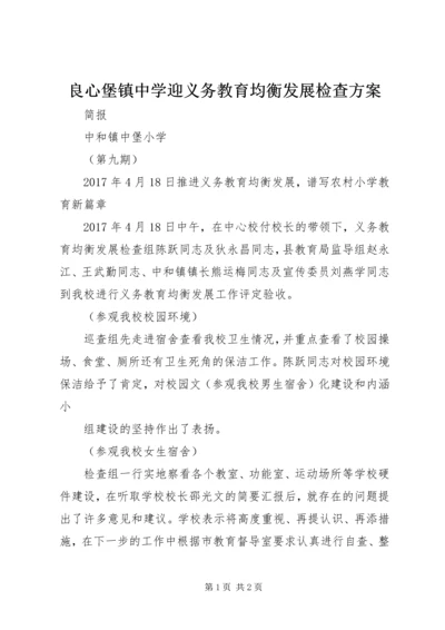 良心堡镇中学迎义务教育均衡发展检查方案 (3).docx