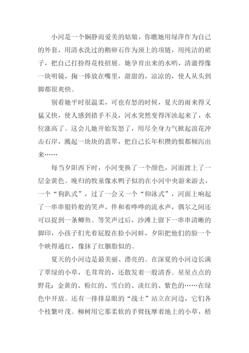 夏天的小河作文.docx