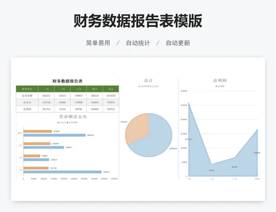 财务数据报告表模版