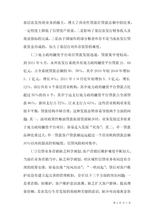 农发行信贷业务发展状况思索.docx