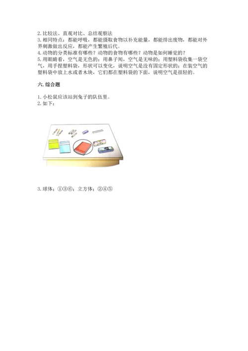 教科版一年级下册科学期末测试卷精品（典优）.docx