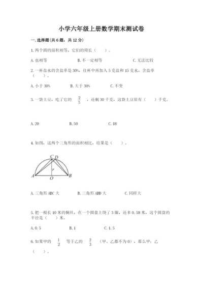 小学六年级上册数学期末测试卷（易错题）word版.docx