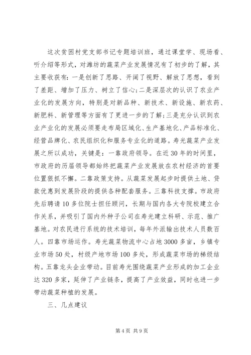 党课讲稿某年脱贫攻坚两篇.docx