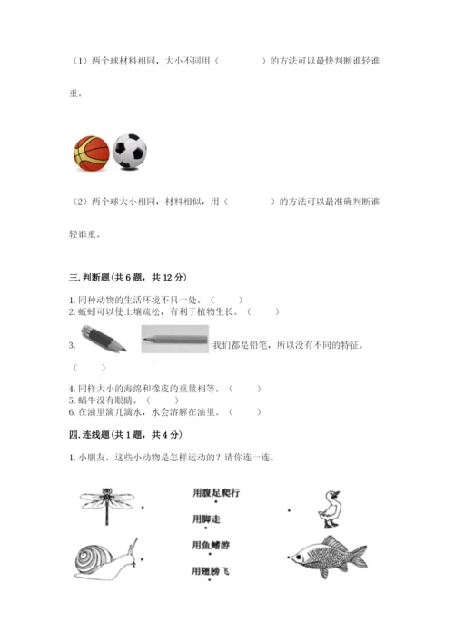 教科版小学科学一年级下册期末测试卷精品（巩固）.docx