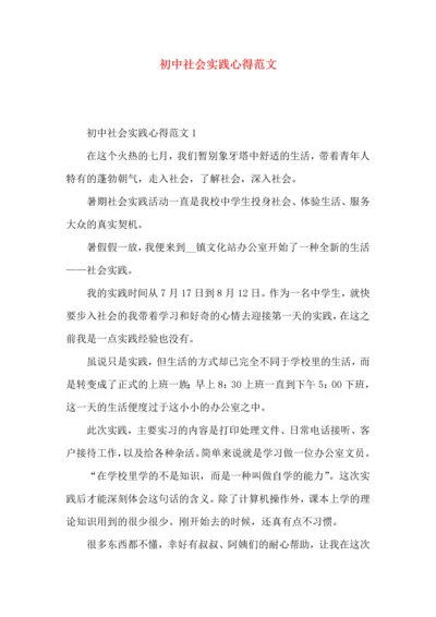 初中社会实践心得范文.docx