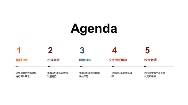 项目投资策略解析