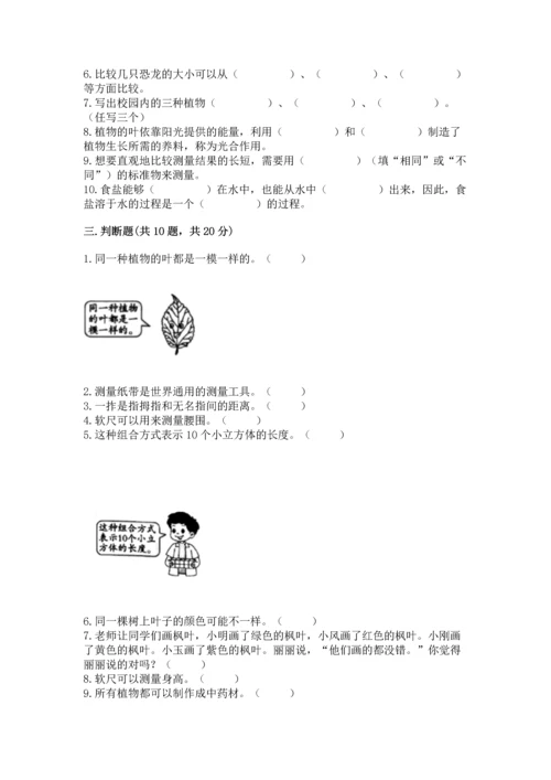 教科版一年级上册科学期末测试卷附答案（满分必刷）.docx